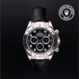 Rolex Rolex Certified Pre-Owned Cosmograph Daytona