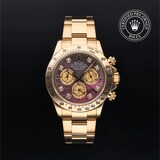 Rolex Rolex Certified Pre-Owned Cosmograph Daytona