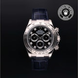 Rolex Rolex Certified Pre-Owned Cosmograph Daytona