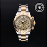 Rolex Rolex Certified Pre-Owned Cosmograph Daytona