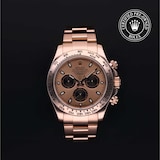 Rolex Rolex Certified Pre-Owned Cosmograph Daytona