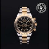 Rolex Rolex Certified Pre-Owned Cosmograph Daytona