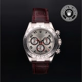 Rolex Rolex Certified Pre-Owned Cosmograph Daytona