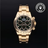 Rolex Rolex Certified Pre-Owned Cosmograph Daytona