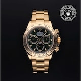 Rolex Rolex Certified Pre-Owned Cosmograph Daytona