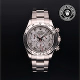 Rolex Rolex Certified Pre-Owned Cosmograph Daytona