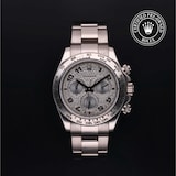 Rolex Rolex Certified Pre-Owned Cosmograph Daytona