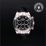 Rolex Rolex Certified Pre-Owned Cosmograph Daytona