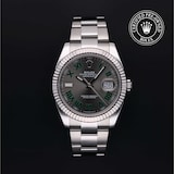 Rolex Rolex Certified Pre-Owned Datejust 41