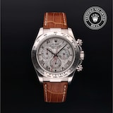 Rolex Rolex Certified Pre-Owned Cosmograph Daytona