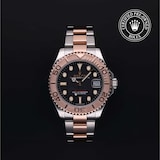 Rolex Rolex Certified Pre-Owned Yacht-Master 37