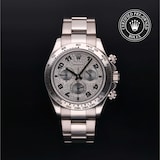 Rolex Rolex Certified Pre-Owned Cosmograph Daytona