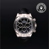 Rolex Rolex Certified Pre-Owned Cosmograph Daytona