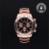 Rolex Rolex Certified Pre-Owned Cosmograph Daytona