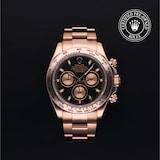 Rolex Rolex Certified Pre-Owned Cosmograph Daytona