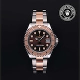 Rolex Rolex Certified Pre-Owned Yacht-Master 37