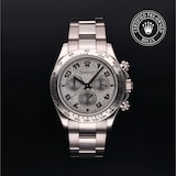 Rolex Rolex Certified Pre-Owned Cosmograph Daytona