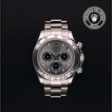 Rolex Rolex Certified Pre-Owned Cosmograph Daytona