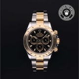 Rolex Rolex Certified Pre-Owned Cosmograph Daytona