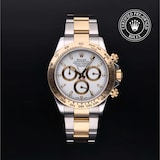 Rolex Rolex Certified Pre-Owned Cosmograph Daytona