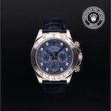 Rolex Rolex Certified Pre-Owned Cosmograph Daytona