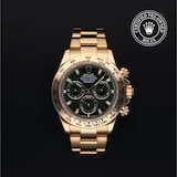 Rolex Rolex Certified Pre-Owned Cosmograph Daytona