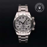 Rolex Rolex Certified Pre-Owned Cosmograph Daytona