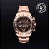 Rolex Rolex Certified Pre-Owned Cosmograph Daytona