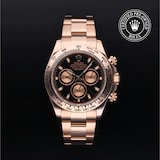 Rolex Rolex Certified Pre-Owned Cosmograph Daytona