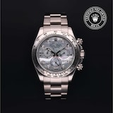 Rolex Rolex Certified Pre-Owned Cosmograph Daytona