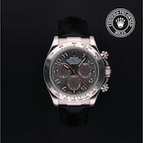 Rolex Rolex Certified Pre-Owned Cosmograph Daytona