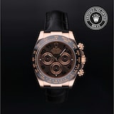 Rolex Rolex Certified Pre-Owned Cosmograph Daytona