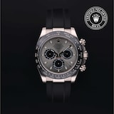 Rolex Rolex Certified Pre-Owned Cosmograph Daytona