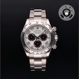 Rolex Rolex Certified Pre-Owned Cosmograph Daytona