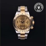 Rolex Rolex Certified Pre-Owned Cosmograph Daytona