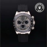 Rolex Rolex Certified Pre-Owned Cosmograph Daytona