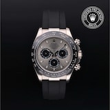 Rolex Rolex Certified Pre-Owned Cosmograph Daytona