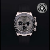 Rolex Rolex Certified Pre-Owned Cosmograph Daytona