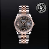 Rolex Rolex Certified Pre-Owned Datejust 36