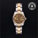 Rolex Rolex Certified Pre-Owned Datejust 31