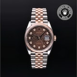 Rolex Rolex Certified Pre-Owned Datejust 36