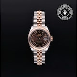 Rolex Rolex Certified Pre-Owned Lady-Datejust