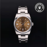 Rolex Rolex Certified Pre-Owned Oyster Perpetual 36