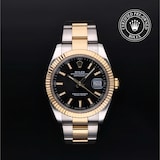 Rolex Rolex Certified Pre-Owned Datejust 41