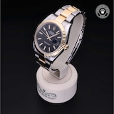 Rolex Rolex Certified Pre-Owned Datejust 41