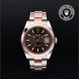 Rolex Rolex Certified Pre-Owned Datejust 41