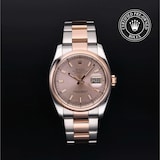 Rolex Rolex Certified Pre-Owned Datejust 36