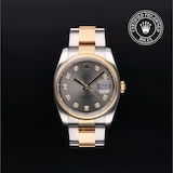 Rolex Rolex Certified Pre-Owned Datejust 36