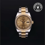 Rolex Rolex Certified Pre-Owned Datejust 36