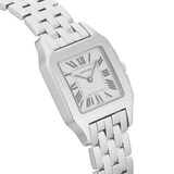 Pre-Owned Cartier Santos Demoiselle 26mm Stainless Steel